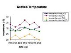 Grafico delle temperature