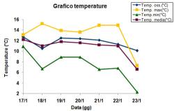 Grafico delle temperature