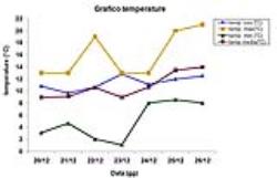 Grafico delle temperature